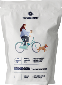 Indonesia Toasted Temptation